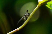 R5_CO_R0A5859 ON1.jpg