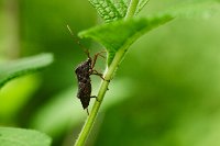 R5_CO_R0A6277_1 ON1.jpg