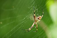 R5_CO_R0A6315 ZS.jpg