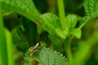 R5_CO_R0A6349 ON1 1.jpg