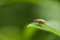 R5_CO_R0A6448 ZS.jpg