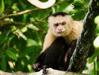 R5_CO_R0A6018 ON1 1.jpg