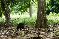 R5_CO_R0A6183 ON1.jpg