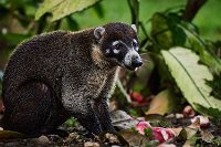 R5_CO_R0A6552 ON1.jpg