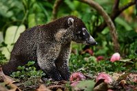 R5_CO_R0A6567 ON1 1.jpg