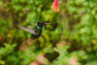 R5_CO_R0A6785 ON1.jpg