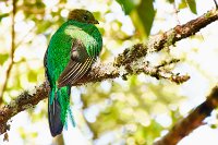 R5_CO_R0A7457 ON1.jpg